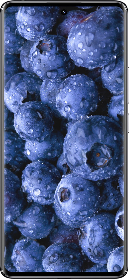 TPU чехол Голубика для Xiaomi Redmi Note 14 Pro 4G - 4459b-3808 изображение 