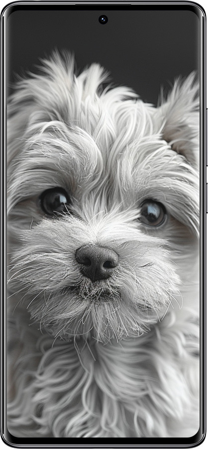 TPU чехол Мальтипу на чорном фоне для Xiaomi Redmi Note 14 Pro 4G - 6156b-3808 изображение 