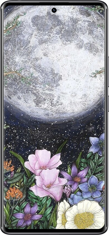 TPU чехол Полночь в саду II для Xiaomi Redmi Note 14 Pro 4G - 6424b-3808 изображение 