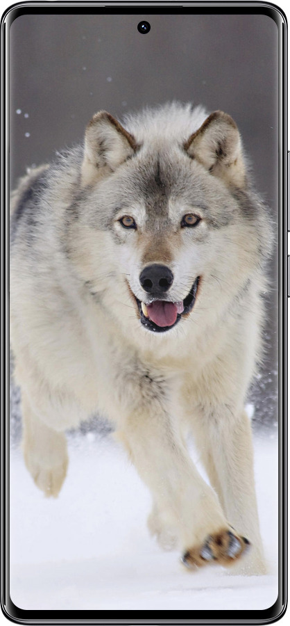 TPU чехол Бегущий волк для Xiaomi Redmi Note 14 Pro 4G - 826b-3808 изображение 