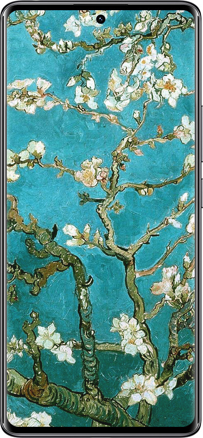 TPU чехол Винсент Ван Гог. Сакура для Xiaomi Redmi Note 14 Pro 4G - 841b-3808 изображение 