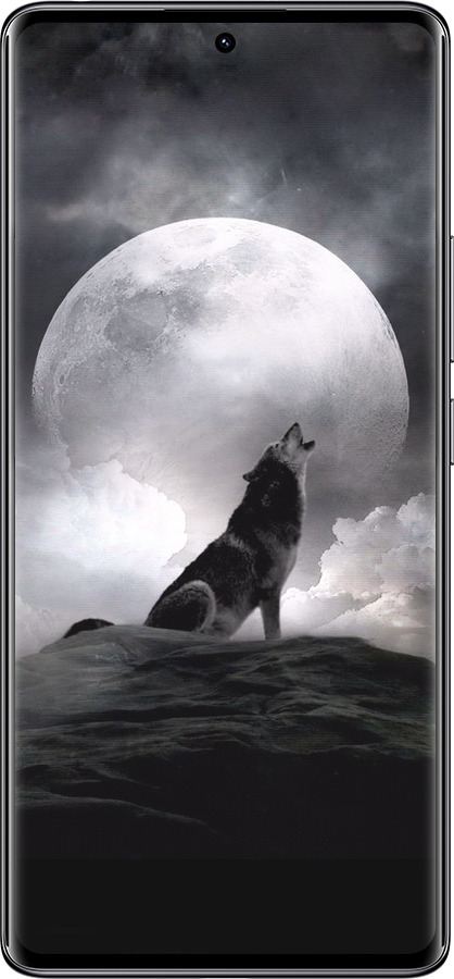 TPU чехол Воющий волк для Xiaomi Redmi Note 14 Pro 4G - 934b-3808 изображение 