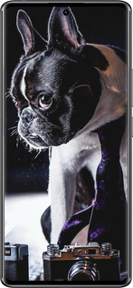 Силиконовый чехол Бульдог-фотограф для Xiaomi Redmi Note 14 Pro 4G - 142u-3808 изображение 