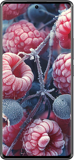 Силіконовий чехол Морозні ягоди для Xiaomi Redmi Note 14 Pro 4G - 6033u-3808 изображение 