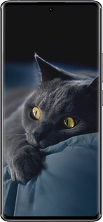 Силиконовый чехол Дымчатый кот для Xiaomi Redmi Note 14 Pro 4G - 825u-3808 изображение 