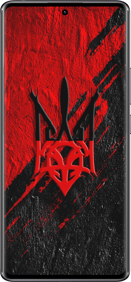 Силиконовый чехол Герб v4 для Xiaomi Redmi Note 14 Pro 4G - 5293u-3808 изображение 
