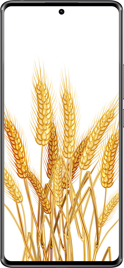 Силиконовый чехол Колоски пшеници для Xiaomi Redmi Note 14 Pro 4G - 5866u-3808 изображение 