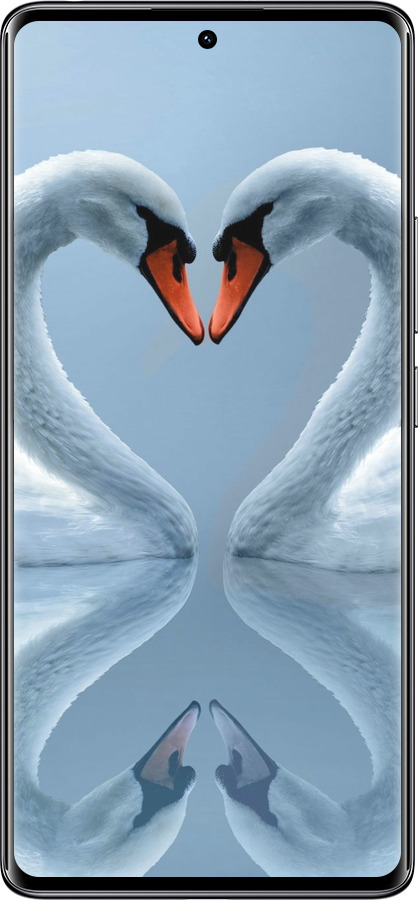 Силиконовый чехол Лебеди для Xiaomi Redmi Note 14 Pro 4G - 6007u-3808 изображение 