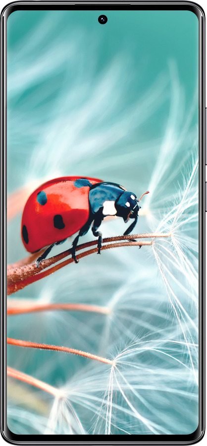Силиконовый чехол Божья коровка для Xiaomi Redmi Note 14 Pro 4G - 6049u-3808 изображение 