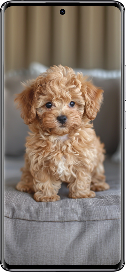 Силіконовий чехол Mini-maltipoo для Xiaomi Redmi Note 14 Pro 4G - 6158u-3808 изображение 