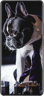 TPU чехол Бульдог-фотограф для Xiaomi Redmi Note 14 Pro 5G - 142b-3928 изображение 