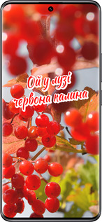 TPU чехол Калина для Xiaomi Redmi Note 14 Pro 5G - 5454b-3928 изображение 