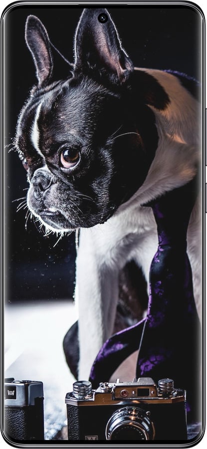 TPU чехол Бульдог-фотограф для Xiaomi Redmi Note 14 Pro 5G - 142b-3928 изображение 
