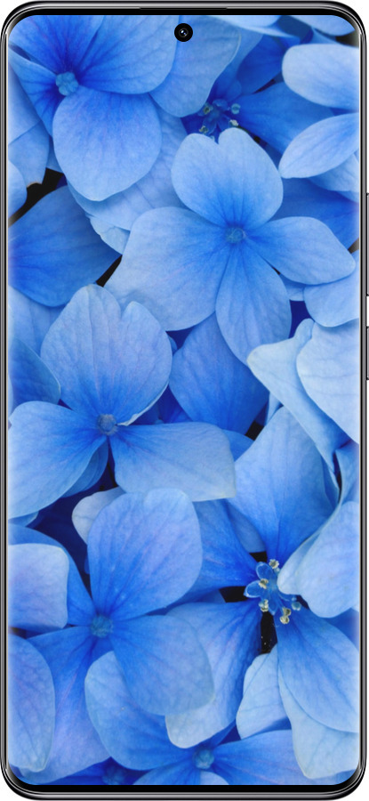 TPU чехол Синие цветы для Xiaomi Redmi Note 14 Pro 5G - 526b-3928 изображение 
