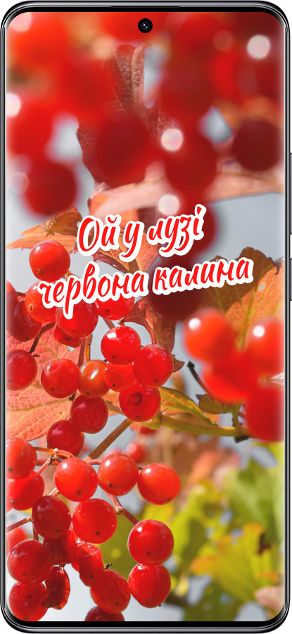 TPU чехол Калина для Xiaomi Redmi Note 14 Pro 5G - 5454b-3928 изображение 
