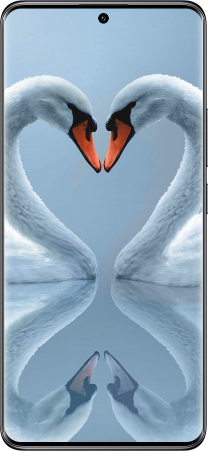 TPU чехол Лебеді для Xiaomi Redmi Note 14 Pro 5G - 6007b-3928 изображение 