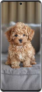 Силіконовий чехол Mini-maltipoo для Xiaomi Poco X7 - 6158u-4011 изображение 