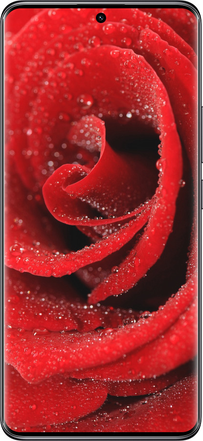 Силиконовый чехол Красная роза для Xiaomi Redmi Note 14 Pro 5G - 529u-3928 изображение 