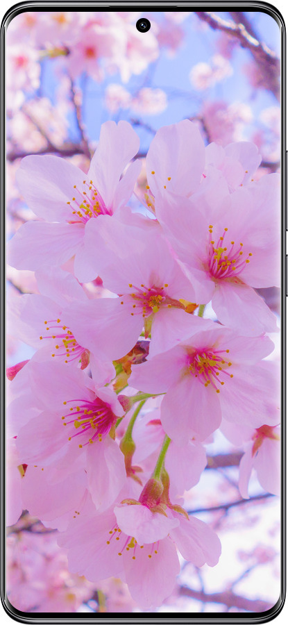 Силіконовий чехол Сакура для Xiaomi Poco X7 - 6029u-4011 изображение 