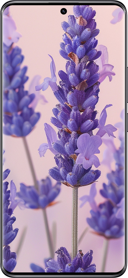 Силіконовий чехол Лаванда для Xiaomi Redmi Note 14 Pro 5G - 6037u-3928 изображение 