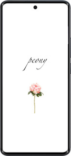 Силиконовый чехол Пион для Xiaomi Redmi Note 15 4G - 4366u-4215 изображение 