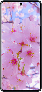 Силиконовый чехол Сакура для Xiaomi Redmi Note 15 4G - 6029u-4215 изображение 
