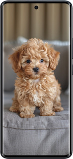 Силиконовый чехол Mini-maltipoo для Xiaomi Redmi Note 15 4G - 6158u-4215 изображение 