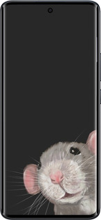 Силиконовый чехол The Peeking Rat для Xiaomi Redmi Note 15 4G - 6442u-4215 изображение 