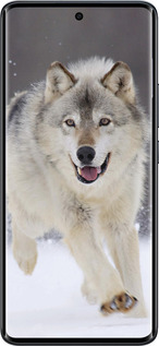Силиконовый чехол Бегущий волк для Xiaomi Redmi Note 15 4G - 826u-4215 изображение 