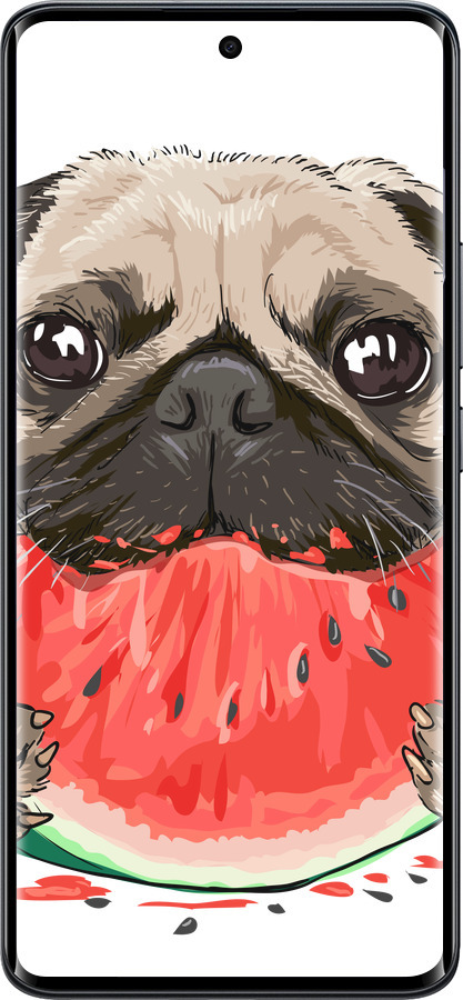 Силиконовый чехол Мопс и арбуз для Xiaomi Redmi Note 15 4G - 4665u-4215 изображение 