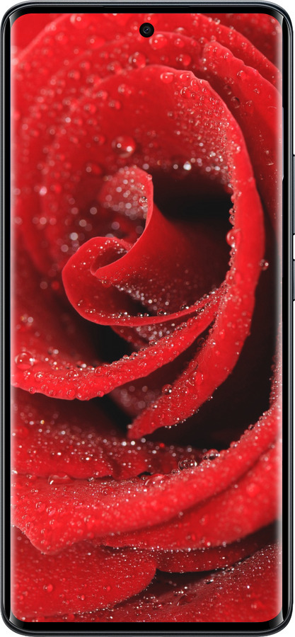 Силіконовий чехол Червона троянда для Xiaomi Redmi Note 15 4G - 529u-4215 изображение 