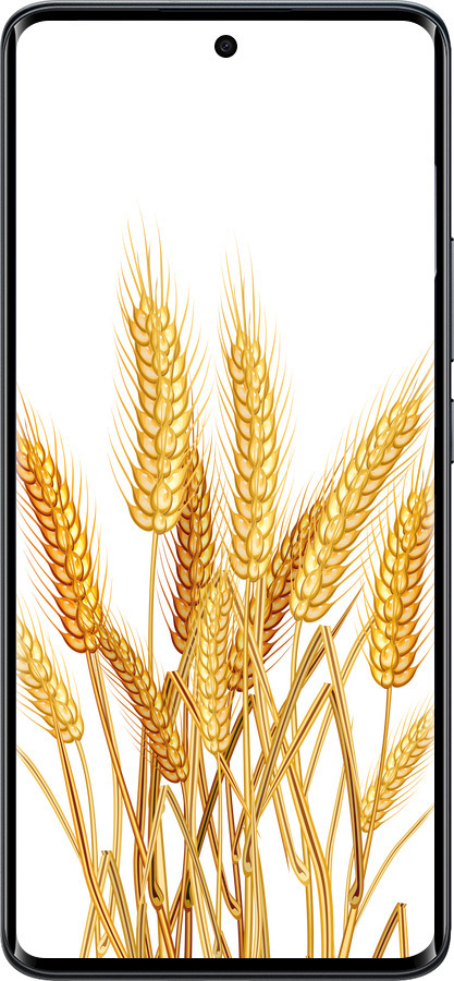 Силіконовий чехол Колоски пшениці для Xiaomi Redmi Note 15 4G - 5866u-4215 изображение 