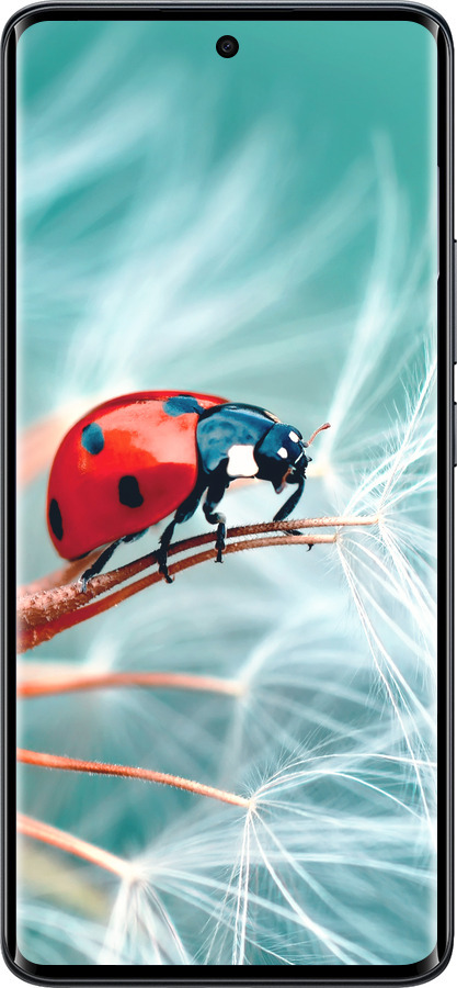 Силиконовый чехол Божья коровка для Xiaomi Redmi Note 15 4G - 6049u-4215 изображение 