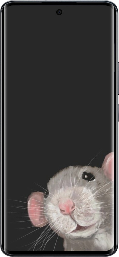 Силиконовый чехол The Peeking Rat для Xiaomi Redmi Note 15 4G - 6442u-4215 изображение 