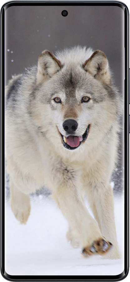 Силиконовый чехол Бегущий волк для Xiaomi Redmi Note 15 4G - 826u-4215 изображение 