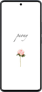 Силиконовый чехол Пион для Xiaomi Redmi Note 15 5G - 4366u-4155 изображение 