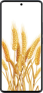 Силіконовий чехол Колоски пшениці для Xiaomi Redmi Note 15 5G - 5866u-4155 изображение 