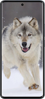 Силиконовый чехол Бегущий волк для Xiaomi Redmi Note 15 5G - 826u-4155 изображение 