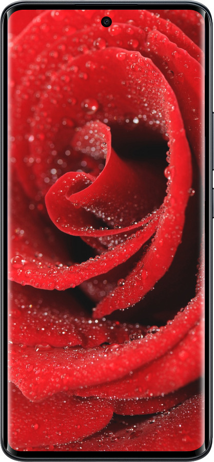 Силиконовый чехол Красная роза для Xiaomi Redmi Note 15 5G - 529u-4155 изображение 