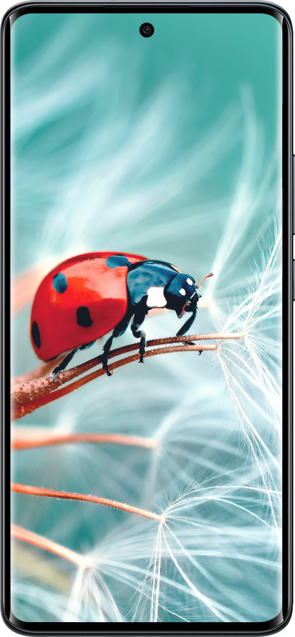 Силиконовый чехол Божья коровка для Xiaomi Redmi Note 15 5G - 6049u-4155 изображение 