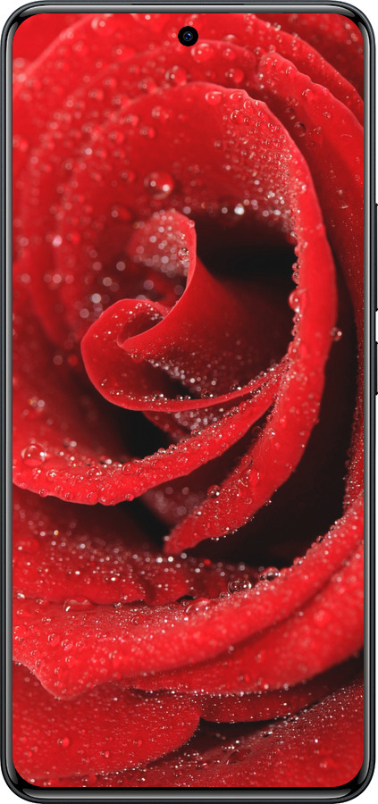 Силіконовий чехол Червона троянда для Xiaomi Redmi Note 15 Pro 4G - 529u-4211 изображение 