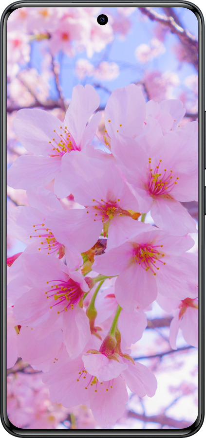 Силиконовый чехол Сакура для Xiaomi Redmi Note 15 Pro 4G - 6029u-4211 изображение 