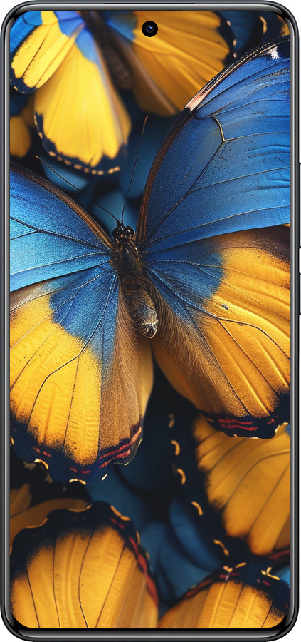 Силиконовый чехол Желто-голубые бабочки для Xiaomi Redmi Note 15 Pro 4G - 6046u-4211 изображение 