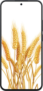 Силиконовый чехол Колоски пшеници для Xiaomi Redmi Note 15 Pro 5G - 5866u-4154 изображение 