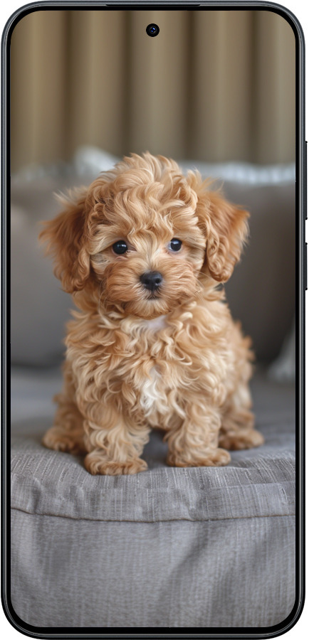 Силиконовый чехол Mini-maltipoo для Xiaomi POCO M8 PRO - 6158u-6651 изображение 