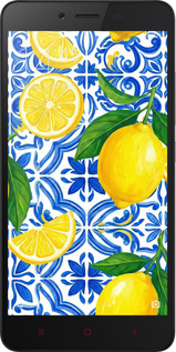 2D пластиковий чехол Grocery Girl Italian Summer для Xiaomi Redmi Note 2 - 6766t-96 изображение 