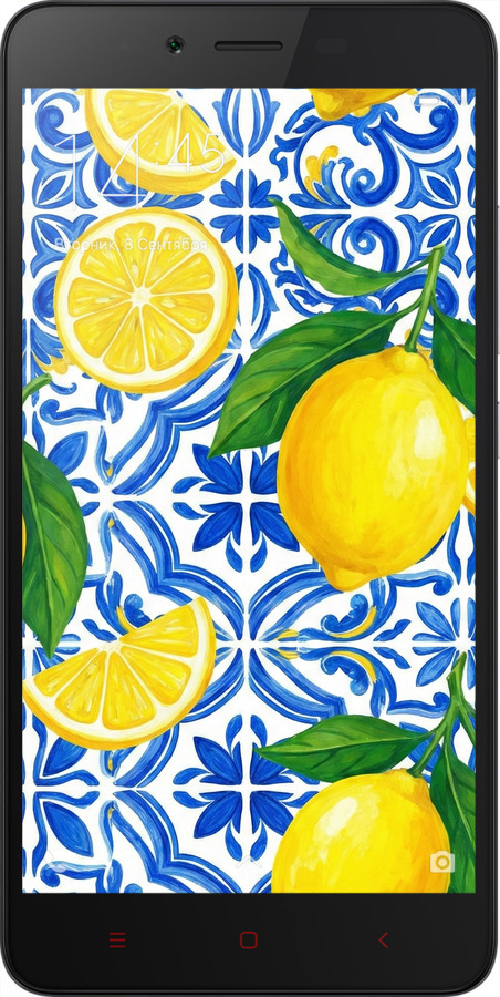 2D пластиковий чехол Grocery Girl Italian Summer для Xiaomi Redmi Note 2 - 6766t-96 изображение 