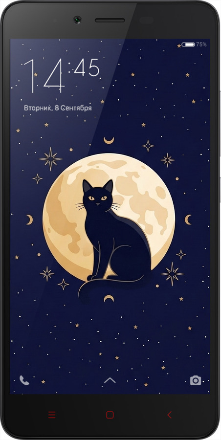 2D пластиковый чехол Cute Cat Celestial/Witchy для Xiaomi Redmi Note 2 - 6787t-96 изображение 