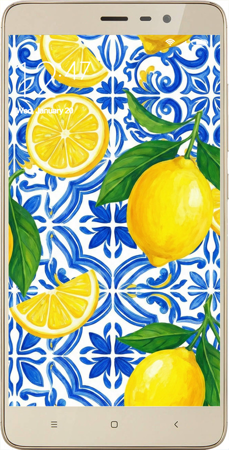 2D пластиковый чехол Grocery Girl Italian Summer для Xiaomi Redmi Note 3 pro - 6766t-335 изображение 