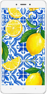 2D пластиковий чехол Grocery Girl Italian Summer для Xiaomi Redmi Note 4 - 6766t-352 изображение 